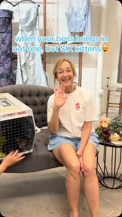 Instagram #0