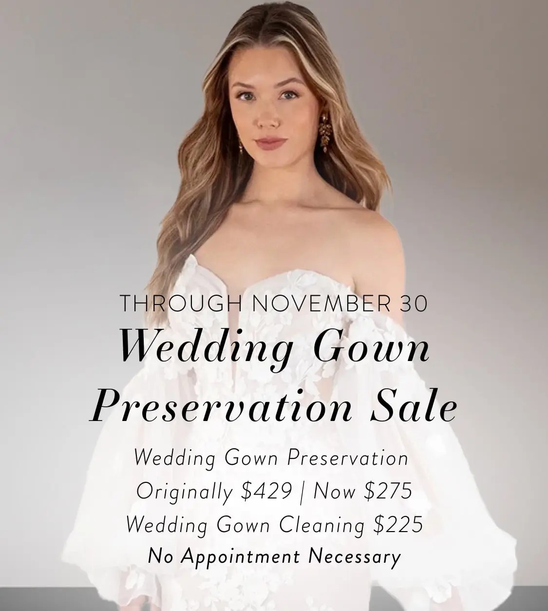 Wedding Gown Preservation Desktop Banner