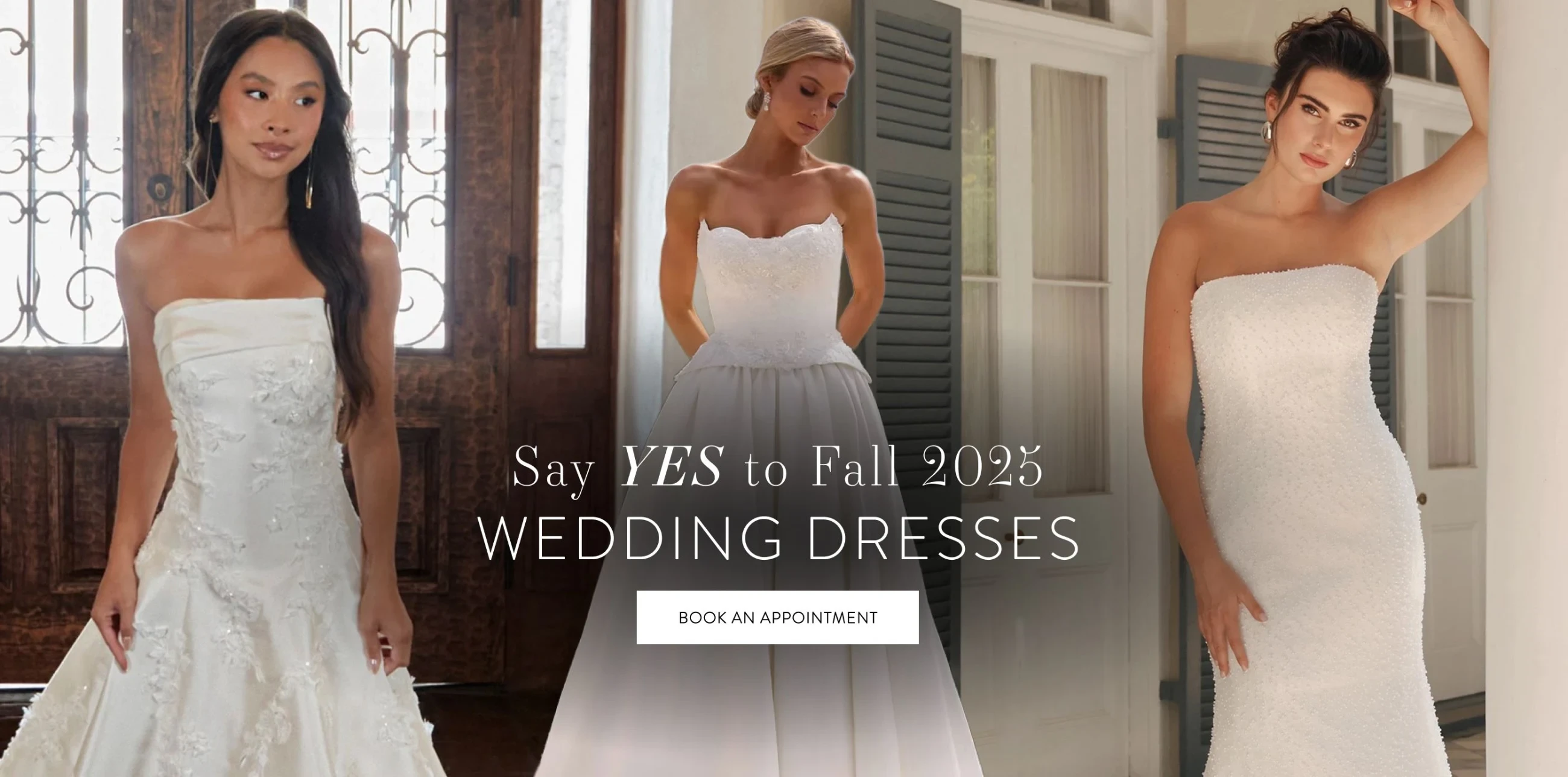 Models wearing bridal gowns, desktop banner